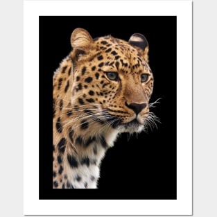 leopard photography Posters and Art